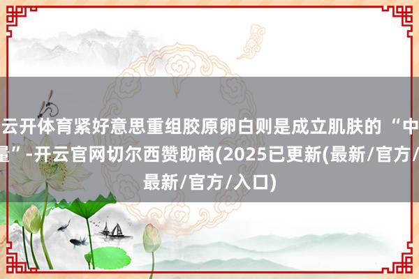 云开体育紧好意思重组胶原卵白则是成立肌肤的 “中枢力量”-开云官网切尔西赞助商(2025已更新(最新/官方/入口)