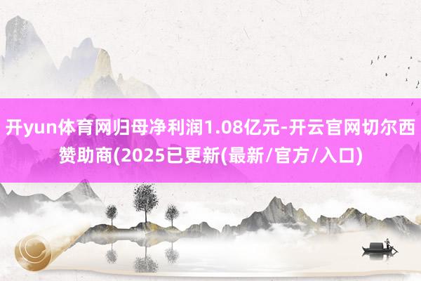 开yun体育网归母净利润1.08亿元-开云官网切尔西赞助商(2025已更新(最新/官方/入口)
