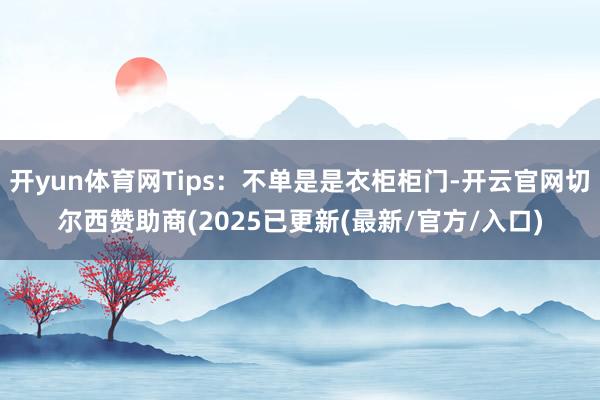 开yun体育网Tips：不单是是衣柜柜门-开云官网切尔西赞助商(2025已更新(最新/官方/入口)
